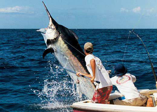 Tournoi de pêche